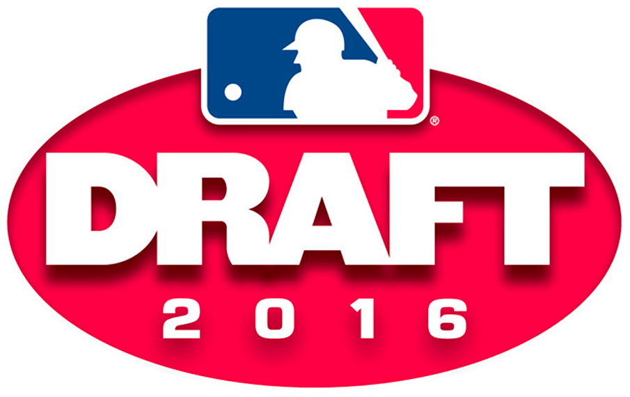 MLB Draft 2016 Primary Logo DIY iron on transfer (heat transfer)